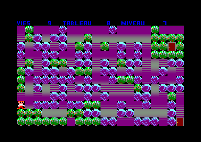 Amstrad CPC, Bouldeur
